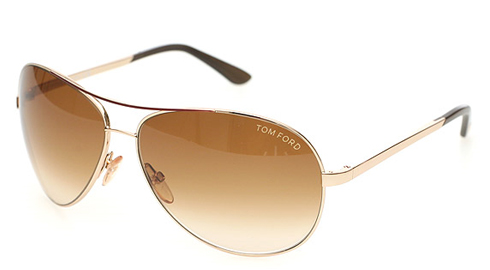 Tom Ford’s Elegance instilled in the Charles Sunglasses
